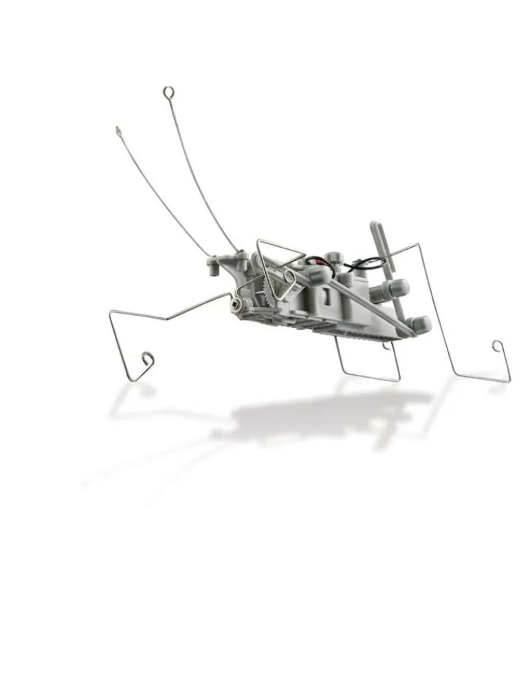 4M Insectoid - robot insecte - - kidzlabs - jouet scientifique Sale