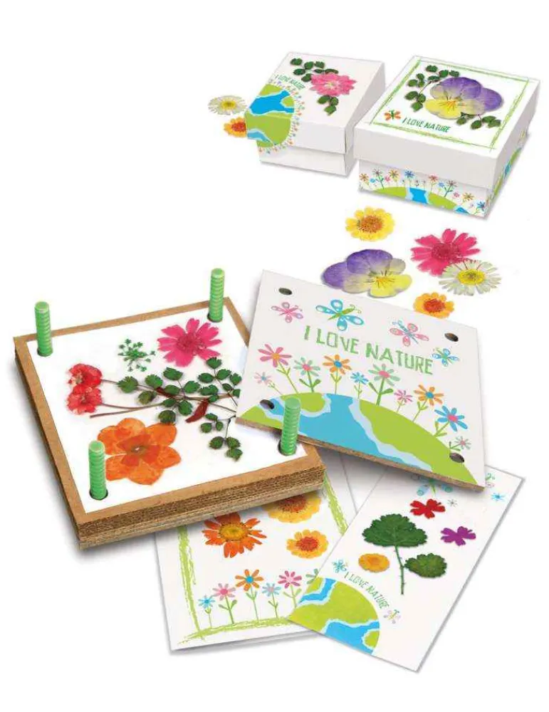 4M Kit fleurs pressées - - jeu écologique - jouet nature Best
