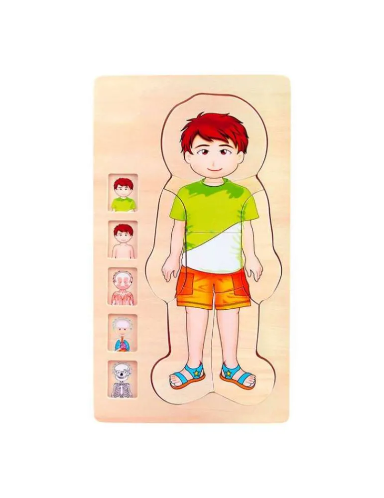 Small Foot Puzzle éducatif anatomie garçon bois - Shop