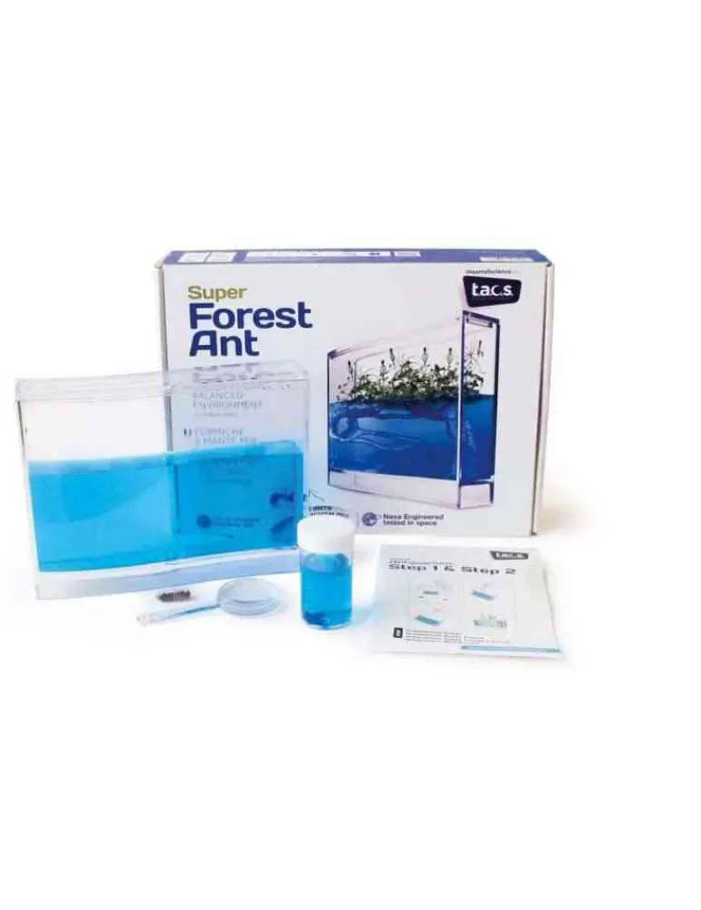Antquarium Super Forest Ant - vivarium fourmis et plantes - jouet scientifique New