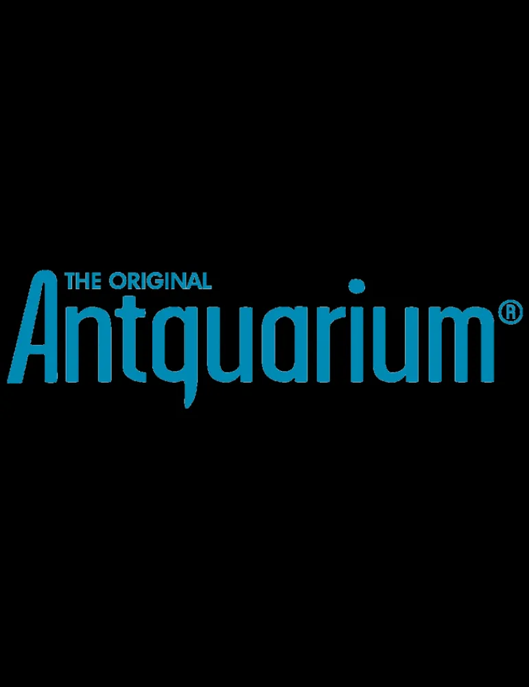 Antquarium Super Forest Ant - vivarium fourmis et plantes - jouet scientifique New